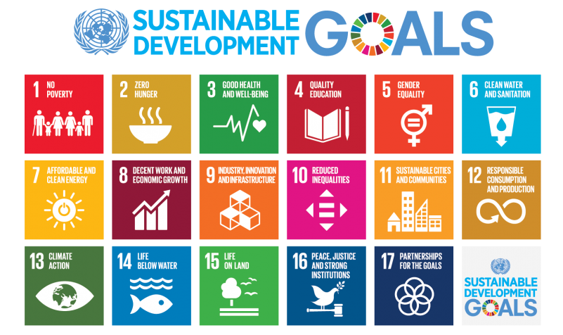 17 UN Development Goals